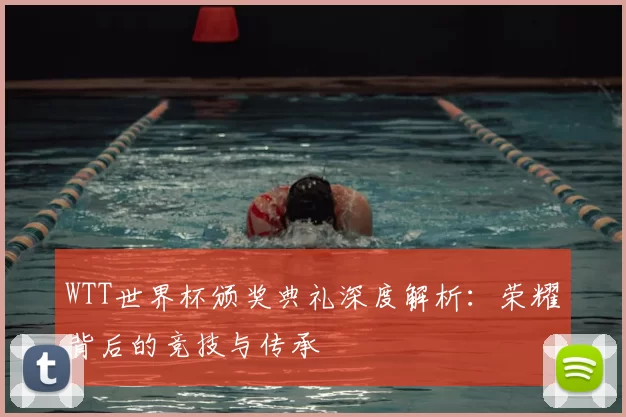WTT世界杯颁奖典礼深度解析：荣耀背后的竞技与传承