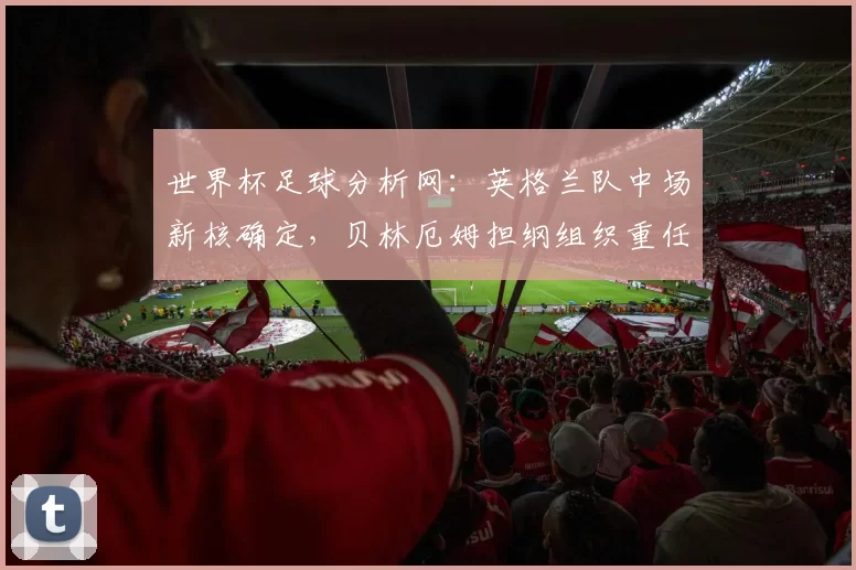 世界杯足球分析网：英格兰队中场新核确定，贝林厄姆担纲组织重任