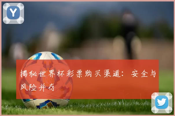 揭秘世界杯彩票购买渠道：安全与风险并存