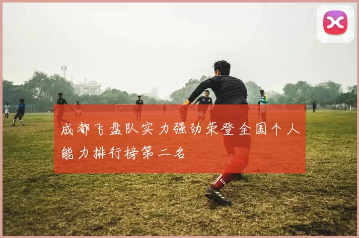 成都飞盘队实力强劲荣登全国个人能力排行榜第二名