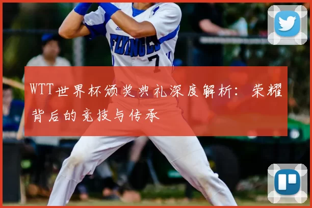 WTT世界杯颁奖典礼深度解析：荣耀背后的竞技与传承